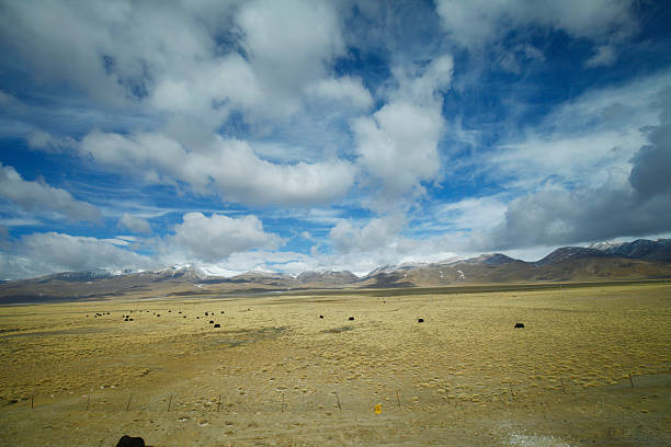 istock The blue sky white clouds and grassland snow mountain landscape 2253439636