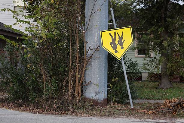 Askew, Upside-Down Children Crossing Street Sign