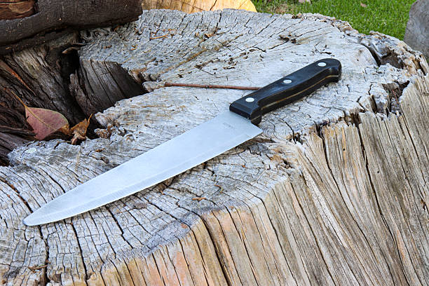 istock Chef knife on wooden log for camping barbecue and survival 2253441303