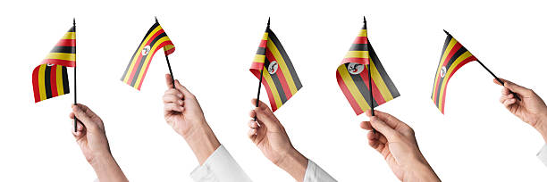 The Uganda flag in hand in different angles on a white background.