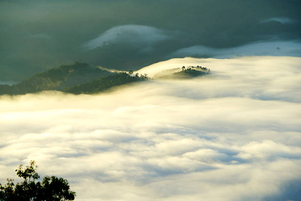 A breathtaking landscape showcasing soft fog and clouds enveloping lush mountains at sunrise, creating a serene and tranquil atmosphere perfect for nature enthusiasts.