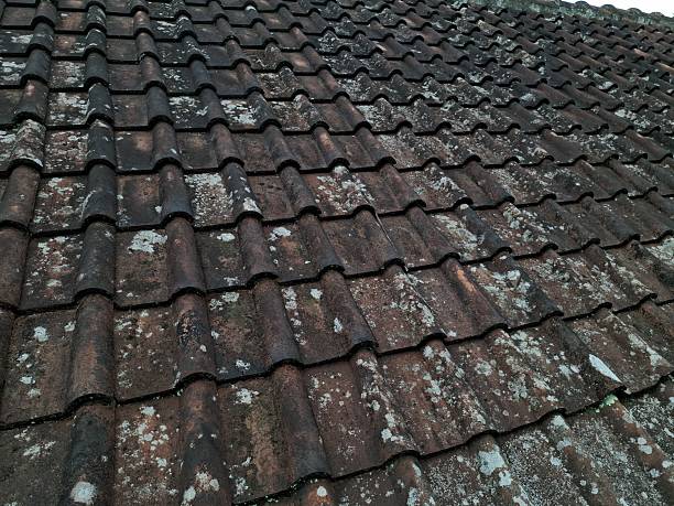 istock Old Weathered Clay Roof Tiles with Moss and Lichen 2253445749