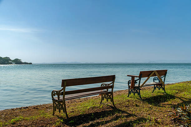 Peaceful seaside benches under clear blue skies—ideal for screensavers or background use.