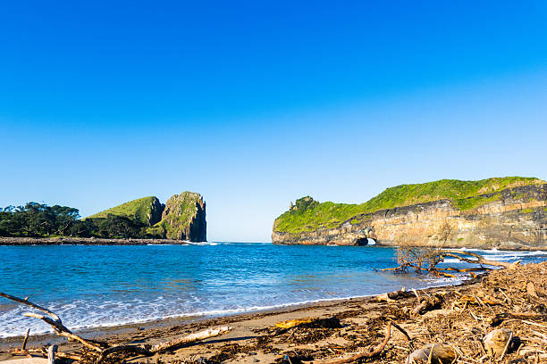 A beautiful beach with a blue ocean and a rocky shore. The sky is clear and the sun is shining brightly