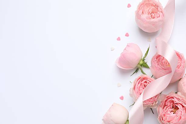 istock Beautiful pink peony roses on white background 2253454100