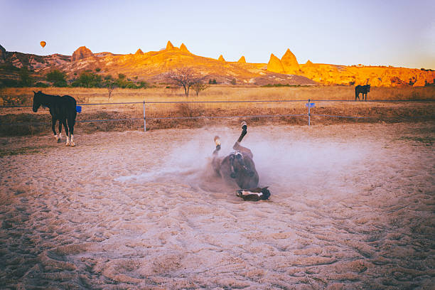 A brown horse rolling on the sandy ground, raising a cloud of dust in a paddock at sunset in Cappadocia, Turkey. Other horses stand calmly in the background against the dramatic fairy chimney formations. This candid moment captures animal behavior, joy, and the natural beauty of the Anatolian landscape.