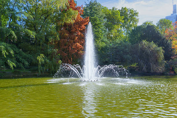 Tranquil pond in a Frankfurt park, showcasing vibrant autumn foliage and a serene fountain, with reflections on the water's surface.