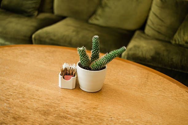 istock Cactus in white ceramic pot on wooden cafe table. Cozy minimalism and natural decor create a relaxing indoor environment. 2253459980