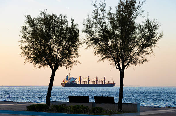 Cargo ship sailing at sunset framed by trees—captured in tranquil coastal composition blending industrial transport with natural silhouettes and warm gradient sky.