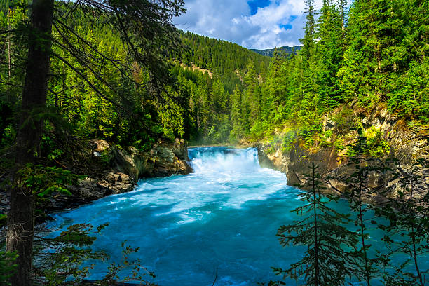 Cascading overlander falls plunge into the vibrant turquoise waters of the fraser river, surrounded by lush evergreen forests in mount robson provincial park, british columbia