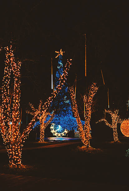 istock Sparkling festive display at night with a tall blue tree and trees wrapped in orange lights. 2253461237