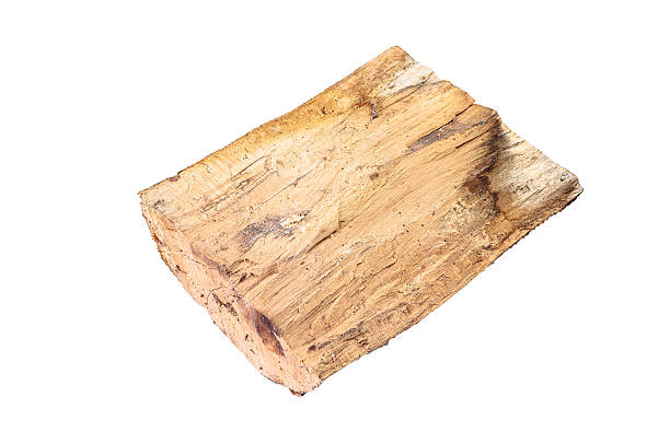 istock Single piece of rough cut firewood with visible grain and texture on a white background 2253462816