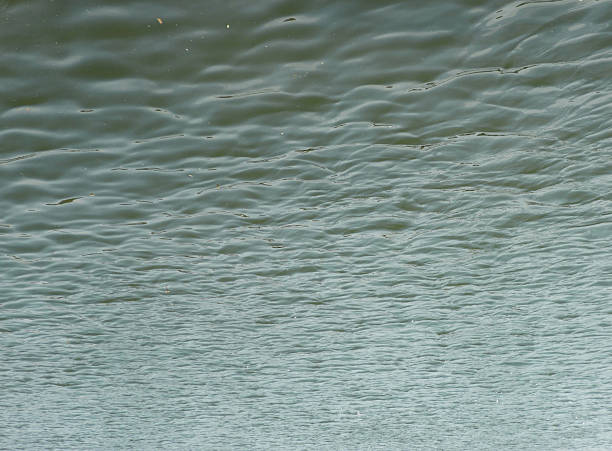 glare on water in city park pond at day