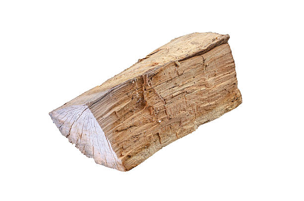 istock A single, aged log cut for fuel, showcasing its natural wood patterns and rustic texture against a clean white backdrop 2253462848