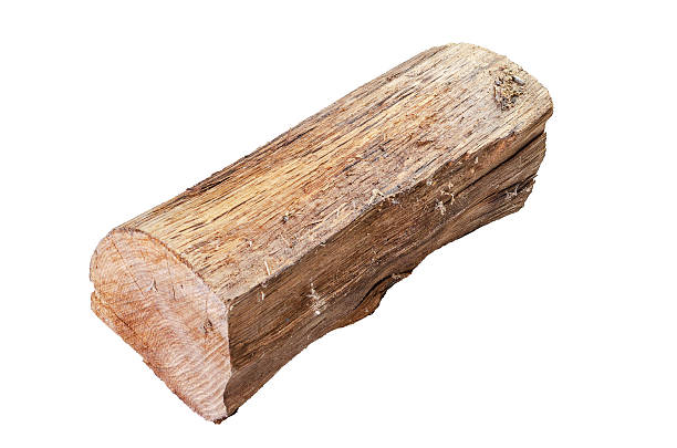 istock A single piece of rough cut firewood with visible grain and texture on a white background 2253462876