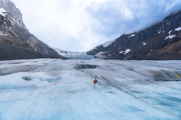 The athabasca glacier, part of the columbia icefield, is shrinking due to climate change, showing visible signs of melting and retreat in jasper national park, alberta, canada