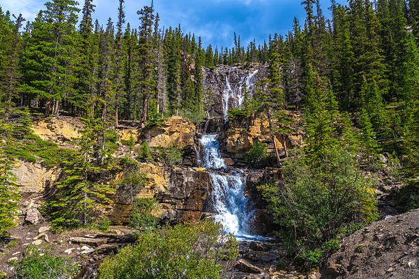 istock Tangle creek falls cascading down rocky cliffs in jasper national park 2253463009