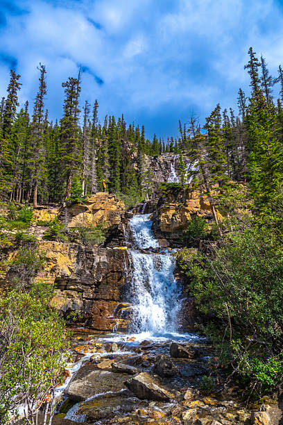 istock Tangle creek falls cascading through jasper national park 2253463015