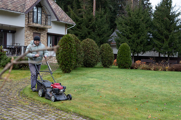 istock Man uses lawnmower to cut grass 2253463122