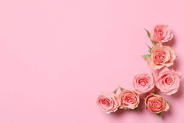 istock Beautiful pink peony roses on a color background 2253463227