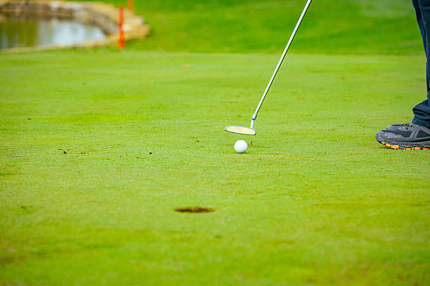 People are playing golf, grass field during golfing game, course. Focused golfer is picturesque golf course, aiming to putt near, hitting ball into hole, concentration and precision.
