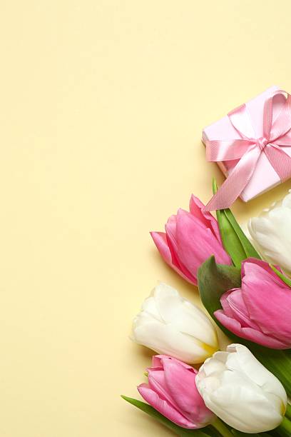 istock Beautiful fresh tulips with gift box on color background 2253463326