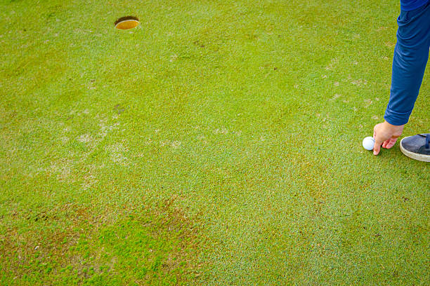 People are playing golf, grass field during golfing game, course. Focused golfer is picturesque golf course, aiming to putt near, hitting ball into hole, concentration and precision.