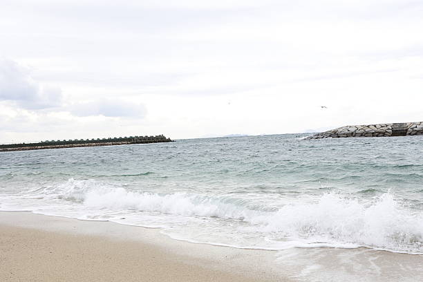 Overcast Sky Over the Peaceful Palm Beach, Florida Shoreline in the Summer of 2024.