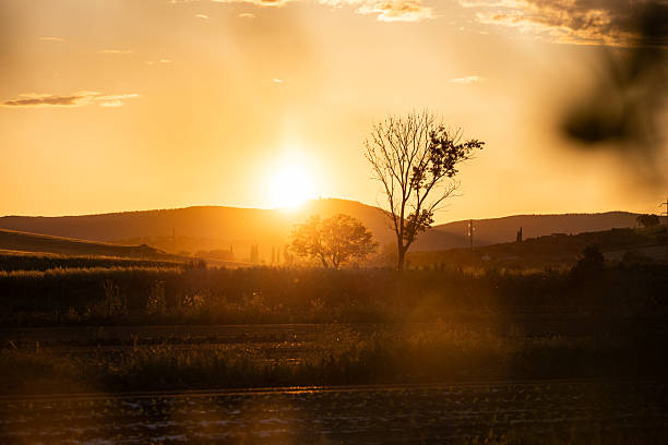 Warm golden light from a setting sun illuminates the rolling countryside of Tuscany, with fields, distant hills, and silhouetted trees creating a serene rural landscape. Soft atmospheric haze and long shadows evoke a timeless Mediterranean scene of calm, nature, and agricultural heritage.
