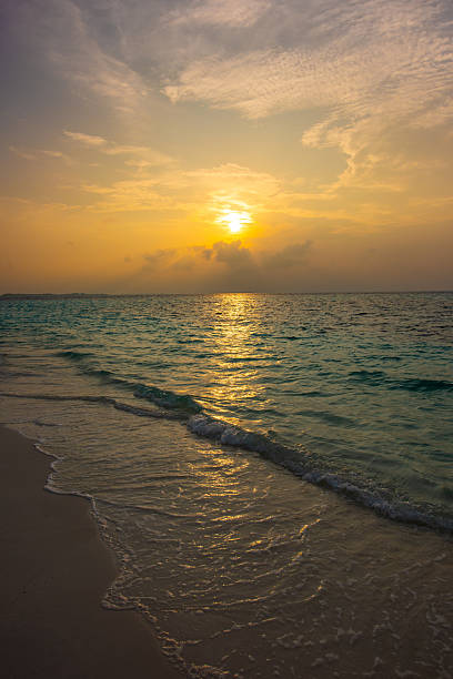 Amazing sunset. A breathtaking landscape of a Maldivian atoll. The rhythmic sway of palm trees against a bright blue sky overlooks an expanse of crystal-clear water, showcasing the signature turquoise water and vibrant coral reefs of this tropical sanctuary, Maldives.