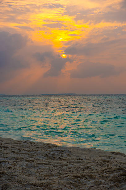Escape to paradise: A breathtaking landscape of a Maldivian atoll. The rhythmic sway of palm trees against a bright blue sky overlooks an expanse of crystal-clear water, showcasing the signature turquoise water and vibrant coral reefs of this tropical sanctuary, Maldives.