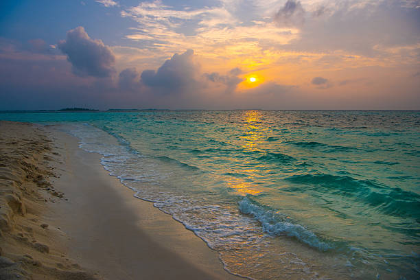 Escape to paradise: A breathtaking landscape of a Maldivian atoll. The rhythmic sway of palm trees against a bright blue sky overlooks an expanse of crystal-clear water, showcasing the signature turquoise water and vibrant coral reefs of this tropical sanctuary, Maldives.