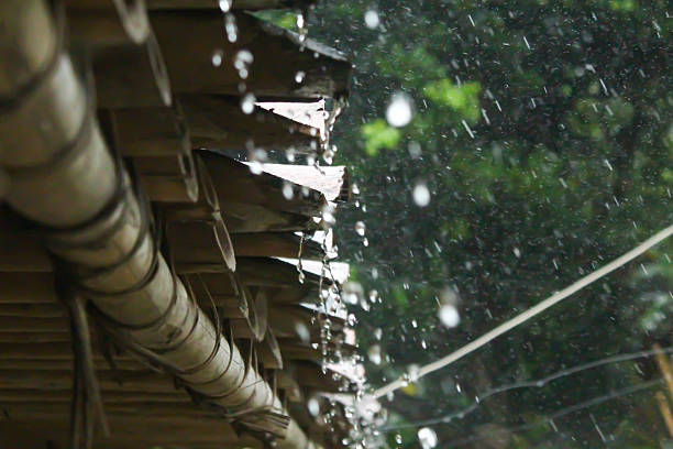 istock Raindrops falling from a traditional bamboo roof with a blurry green tree background 2253477230