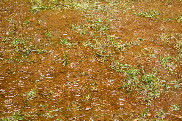 Heavy rains soaked the bare red earth and thin grass, creating puddles and ripples.