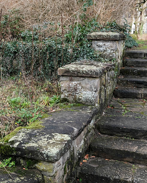 istock Stone steps lead through lush greenery in a quiet outdoor area during early spring 2253478601