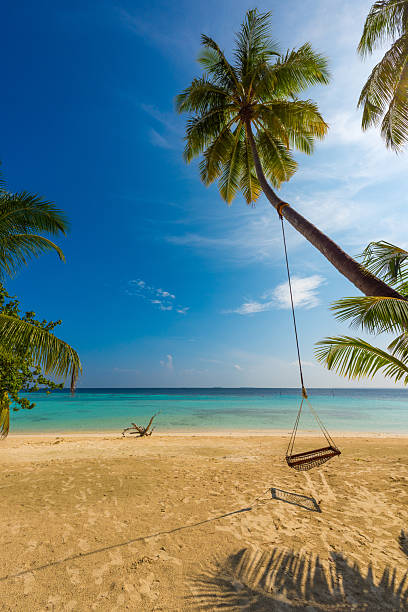 An idyllic view of a remote tropical island in the Maldives, featuring lush green palm trees fringed by pristine white sands. The vibrant turquoise water of the shallow lagoon blends seamlessly into the crystal-clear water of the deep Indian Ocean.