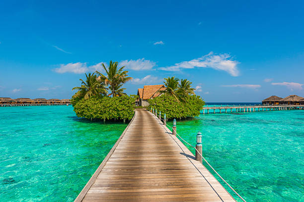 istock Maldives Tropical Island 2253480013