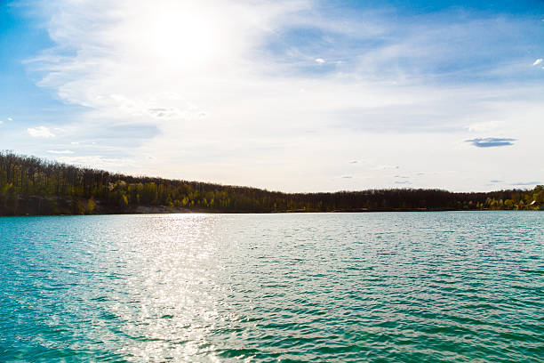 A peaceful and tranquil lake beautifully capturing the warm sunlight along with the lush greenery in nature