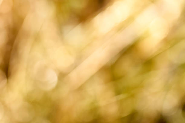 Natural Background Material Featuring Stylized Natural Light