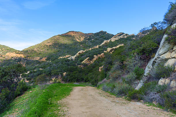 istock Scenic Dirt Trail Meandering Through Lush Hills Under Bright Blue Sky 2253495242
