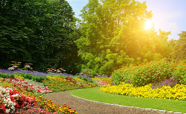 istock Scenic walking path through a lush green park under bright golden sunlight. 2253496174