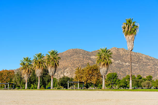 istock Palm Trees and Mountains Under Blue Sky at Lake Perris 2253496242