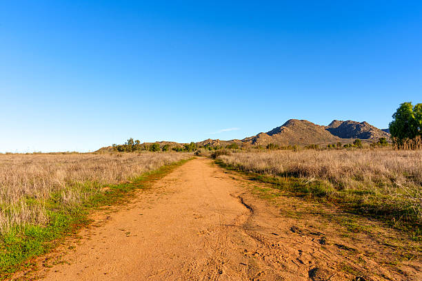 Sun-drenched dirt path winding through dry grasslands towards distant mountains under a clear blue sky at Lake Perris State Recreation Area.