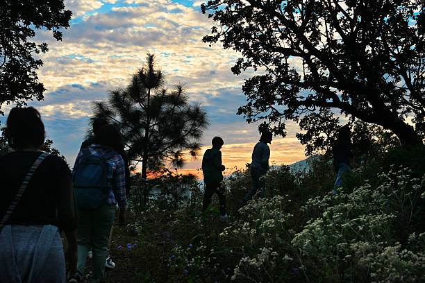 A group of hikers captured in silhouette while walking along a forest trail during a dramatic sunset. The glowing sky and dark tree outlines create a serene, adventurous mood, symbolizing exploration, togetherness, outdoor travel, and connection with nature. Ideal for concepts related to hiking, trekking, eco tourism, adventure lifestyle, group travel, wilderness experiences, and mindful journeys.