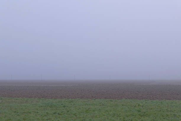 field in the fog 1
