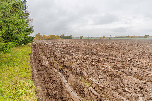 istock Freshly plowed agricultural field under moody autumn sky 2253501263