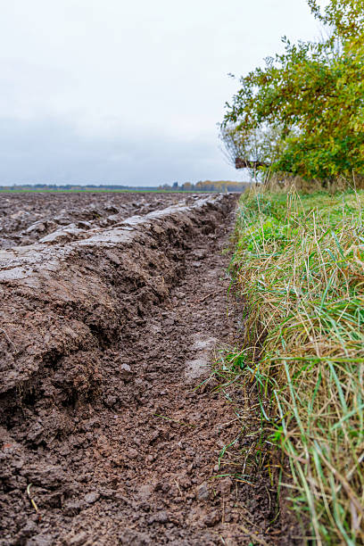 istock Plowed Agricultural Field in Late Autumn 2253501268