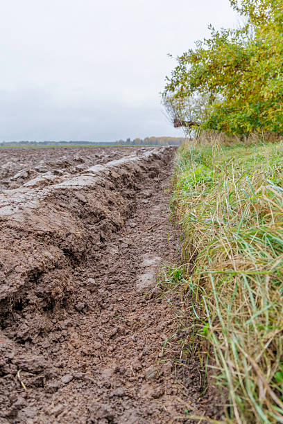 istock Plowed Agricultural Field in Late Autumn 2253501277