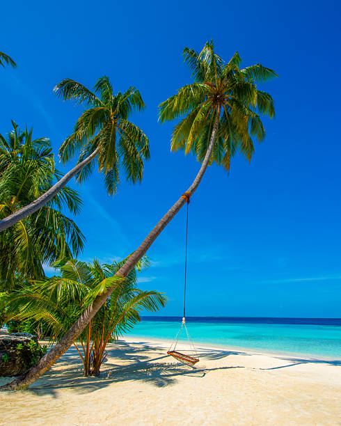 An idyllic view of a remote tropical island in the Maldives, featuring lush green palm trees fringed by pristine white sands.The vibrant turquoise water of the shallow lagoon blends seamlessly into the crystal-clear water of the deep Indian Ocean.