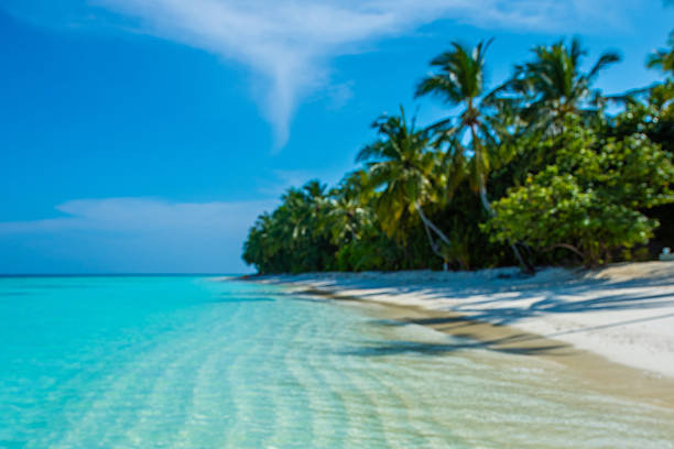 Banner travel with summertime with palm tree and Tropical beach with blue of seashore background